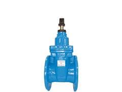 Wedge gate valves BELGICAST